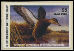 Picture of 2001 Minnesota Duck Stamp