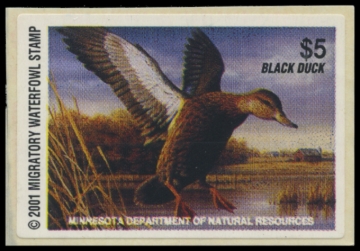 Picture of 2001 Minnesota Duck Stamp