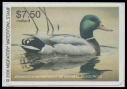 Picture of 2006 Minnesota Duck Stamp