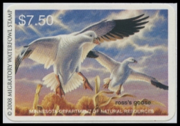 Picture of 2008 Minnesota Duck Stamp