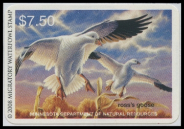 Picture of 2008 Minnesota Duck Stamp