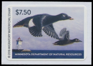 Picture of 2018 Minnesota Duck Stamp