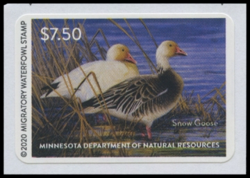 Picture of 2020 Minnesota Duck Stamp
