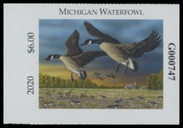 Picture of 2020 Michigan Duck Stamp