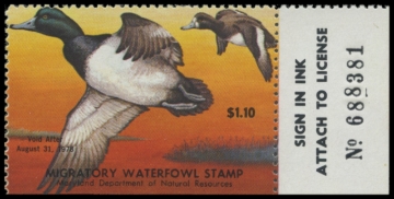 Picture of 1977 Maryland Duck Stamp