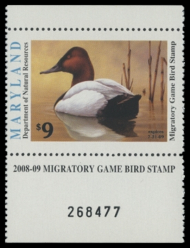 Picture of 2008 Maryland Duck Stamp