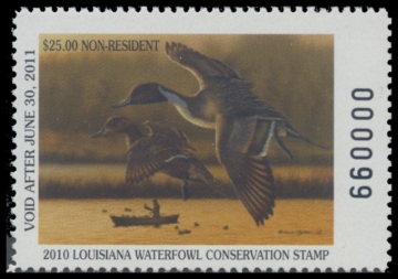 Picture of 2010 Louisiana Duck Stamp