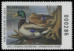 Picture of 2013 Louisiana Duck Stamp