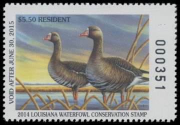 Picture of 2014 Louisiana Duck Stamp