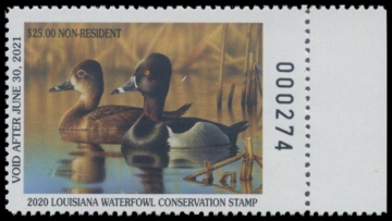 Picture of 2020 Louisiana Duck Stamp