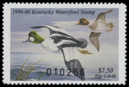 Picture of 1999 Kentucky Duck Stamp