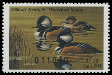 Picture of 2000 Kentucky Duck Stamp