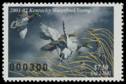 Picture of 2001 Kentucky Duck Stamp
