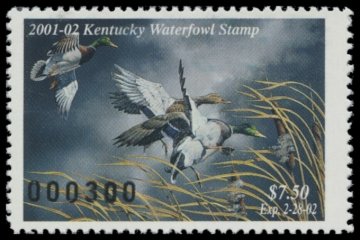 Picture of 2001 Kentucky Duck Stamp