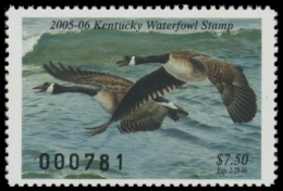 Picture of 2005 Kentucky Duck Stamp