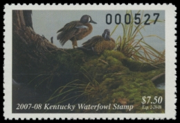 Picture of 2007 Kentucky Duck Stamp