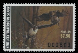 Picture of 2008 Kentucky Duck Stamp