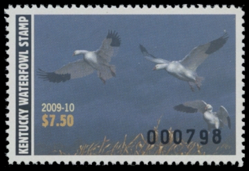 Picture of 2009 Kentucky Duck Stamp