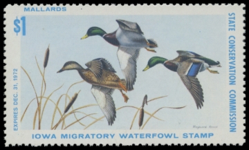 Picture of 1972 Iowa Duck Stamp - First of State