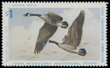 Picture of 1975 Iowa Duck Stamp