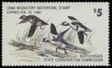 Picture of 1979 Iowa Duck Stamp