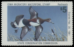 Picture of 1980 Iowa Duck Stamp