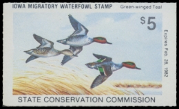 Picture of 1981 Iowa Duck Stamp