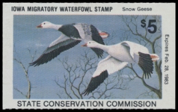 Picture of 1982 Iowa Duck Stamp