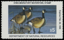 Picture of 1995 Iowa Duck Stamp