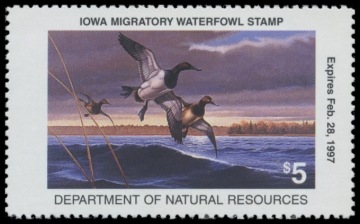 Picture of 1996 Iowa Duck Stamp