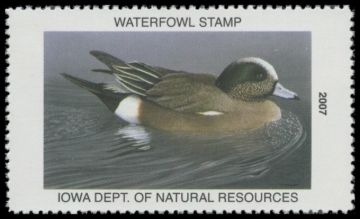Picture of 2007 Iowa Duck Stamp