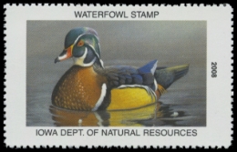 Picture of 2008 Iowa Duck Stamp