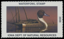 Picture of 2009 Iowa Duck Stamp
