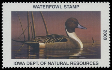 Picture of 2009 Iowa Duck Stamp
