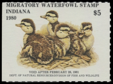 Picture of 1980 Indiana Duck Stamp