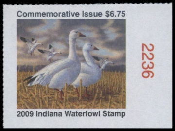 Picture of 2009 Indiana Duck Stamp