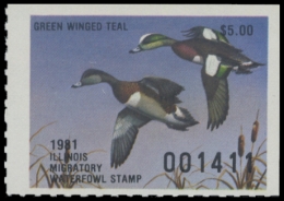 Picture of 1981 Illinois Duck Stamp