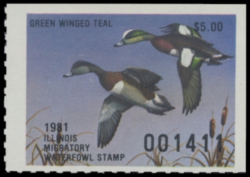 Picture of 1981 Illinois Duck Stamp