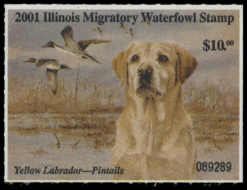 Picture of 2001 Illinois Duck Stamp