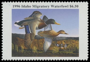Picture of 1996 Idaho Duck Stamp