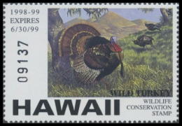 Picture of 1998 Hawaii Duck Stamp