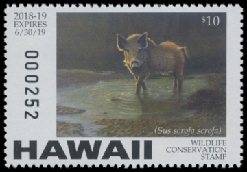 Picture of 2018 Hawaii Duck Stamp