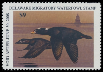 Picture of 2007 Delaware Duck Stamp
