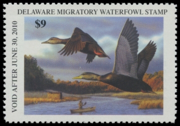 Picture of 2009 Delaware Duck Stamp