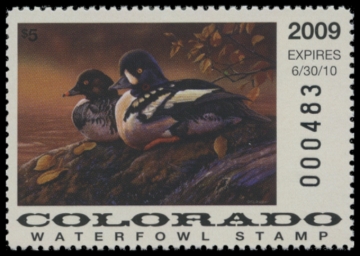 Picture of 2009 Colorado Duck Stamp