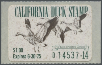 Picture of 1974 California Duck Stamp
