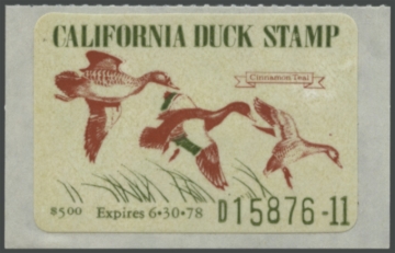 Picture of 1977 California Duck Stamp
