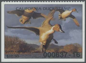 Picture of 1997 California Duck Stamp