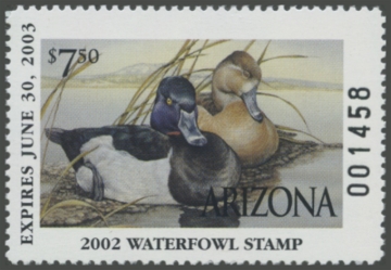 Picture of 2002 Arizona Duck Stamp
