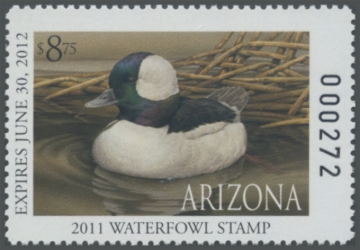 Picture of 2011 Arizona Duck Stamp